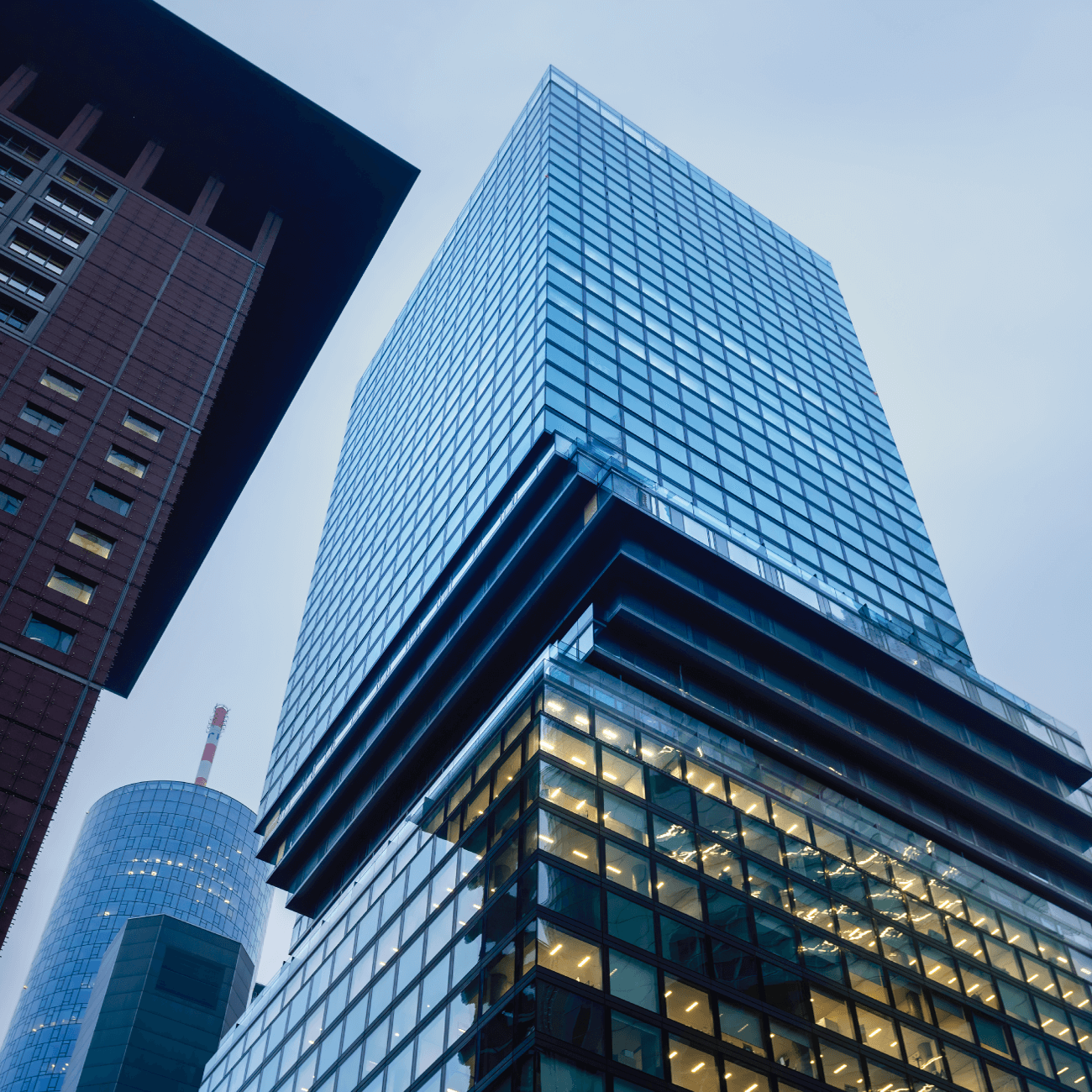 Expertos en Modelos de Prevención de Delitos