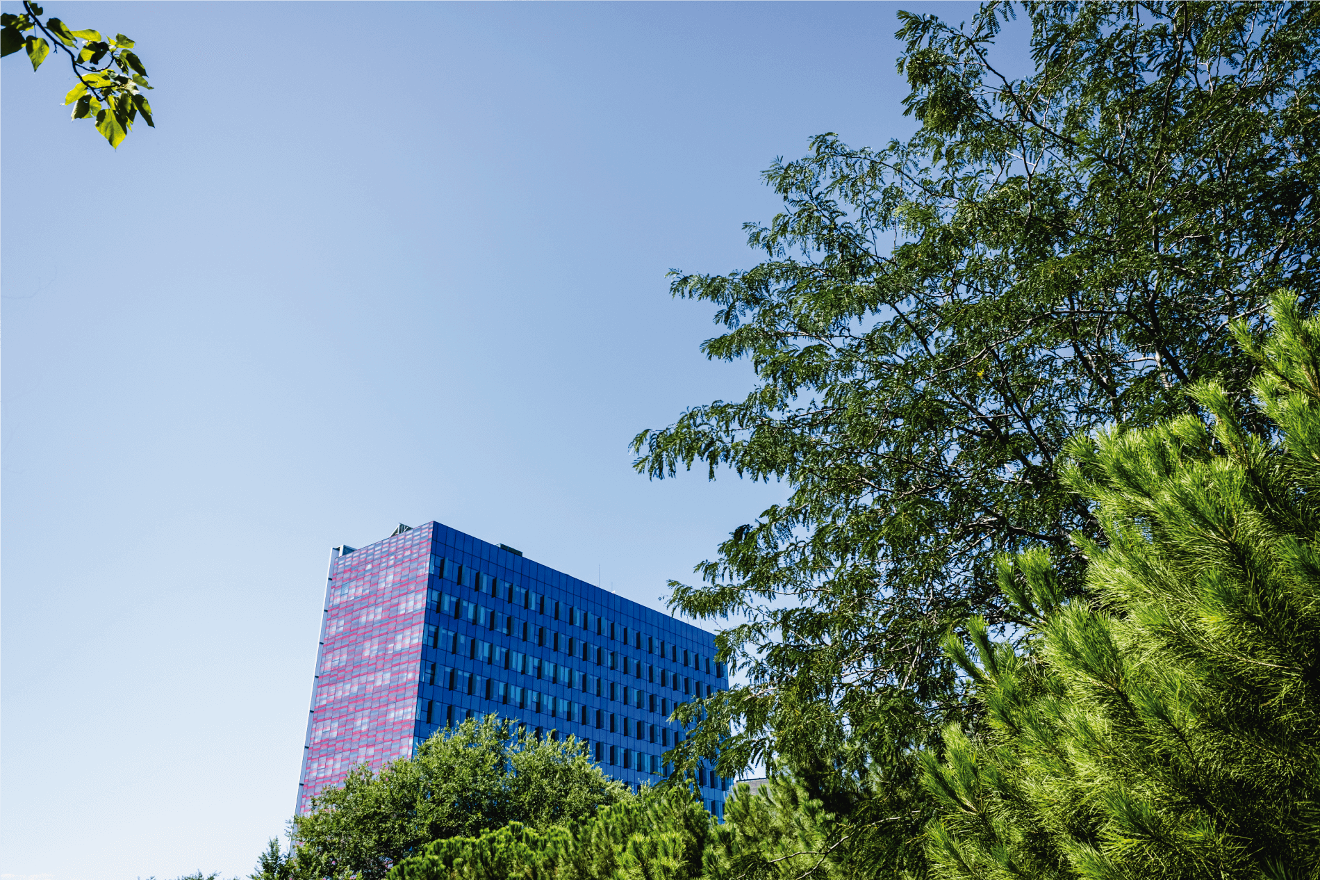 Nuestros clientes nos prefieren